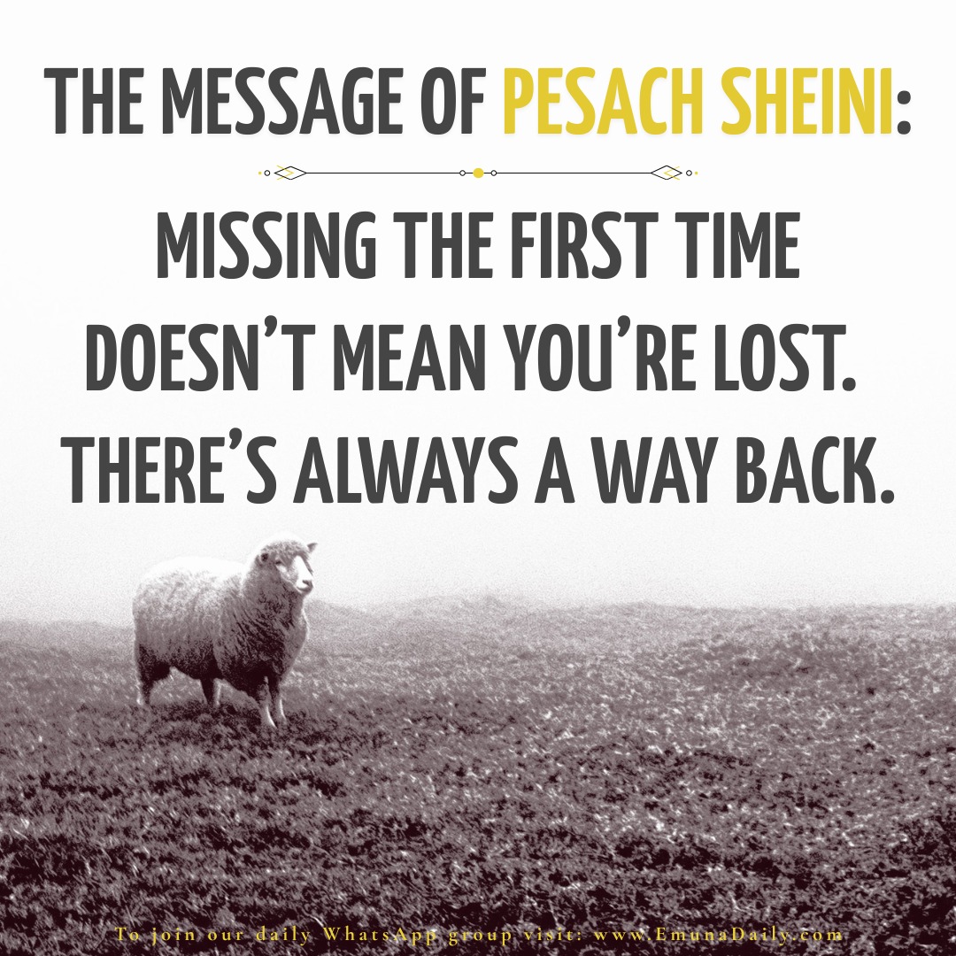 We just finished Menachos in Daf Yomi. *Missed it? Start fresh tomorrow with Chullin.* This is your Pesach Sheini moment! Join Reb Eli Stefansky’s shiur—it can change your life. 🎁 Free Gemara: https://app.mdydafyomi.com/r/jeremysch823774 *Click to receive Emuna Daily* https://linktr.ee/emunadaily