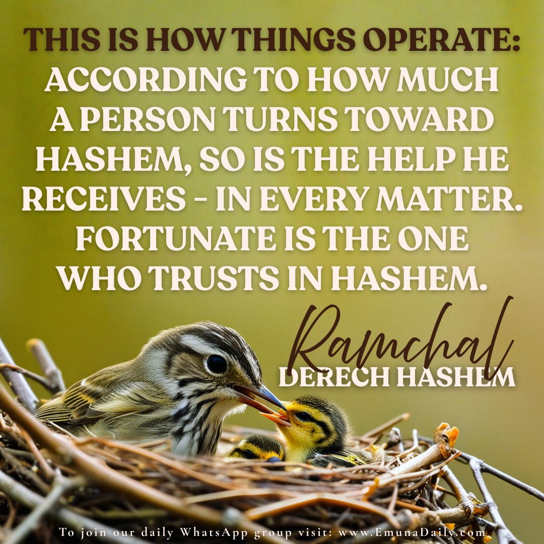 ~ _Today is the yahrtzeit of the Ramchal_ *Click to receive Emuna Daily* https://linktr.ee/emunadaily
